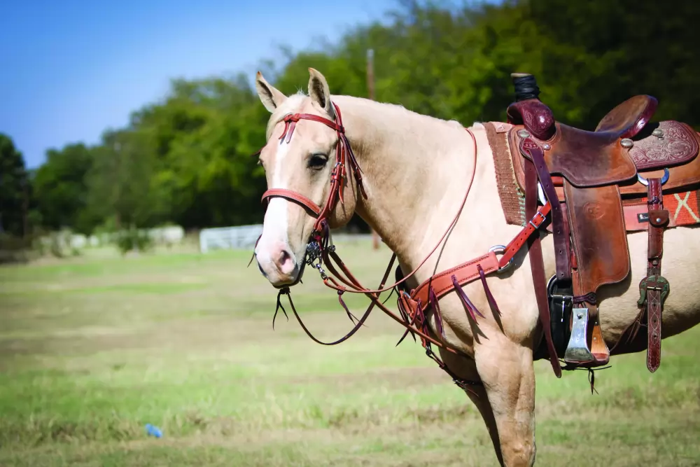 Wildfire Saddlery Leather Browband Headstall - Image 2