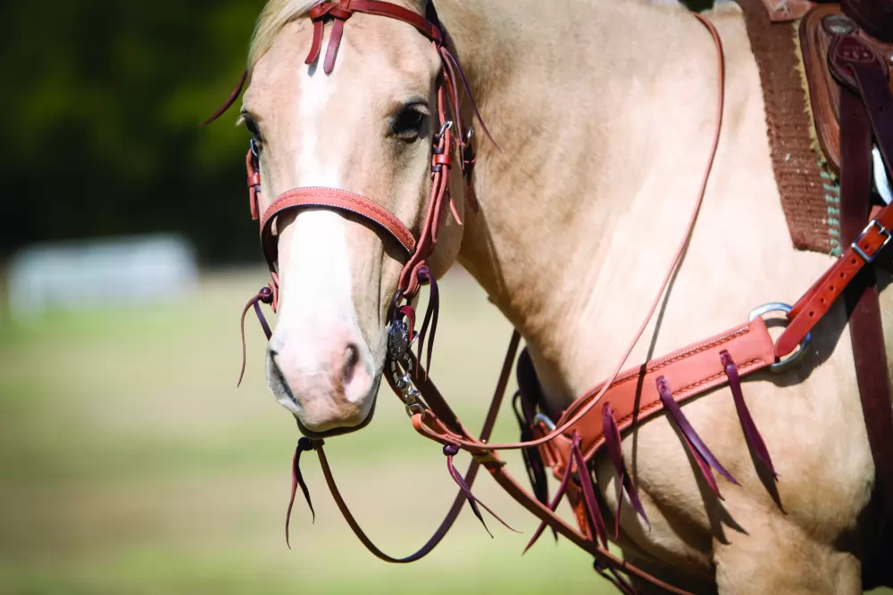 Wildfire Saddlery Leather Browband Headstall - Image 3