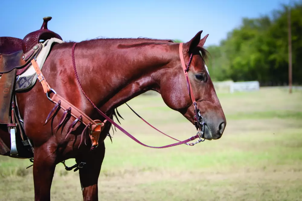 Wildfire Saddlery Leather Rough Out Breast Collar With Latigo Strings - Image 2
