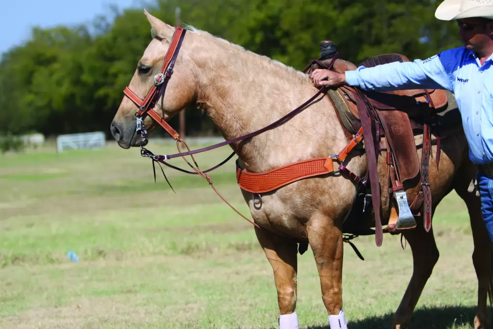 Wildfire Saddlery Harness Leather Tie Down - Image 4