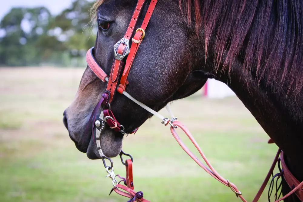 Wildfire Saddlery Harness Leather Tie Down - Image 5