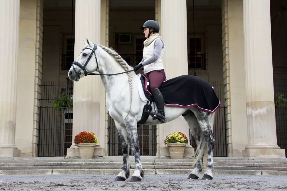 Saratoga Horseworks Fleece Riding Blanket - Image 3