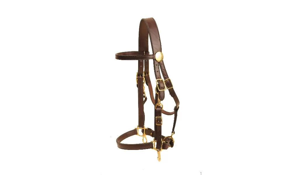 Tory Leather Heavy Duty Halter/Bridle Combo - Image 2