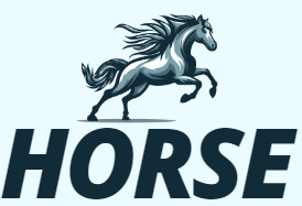 Equestrian equipment store